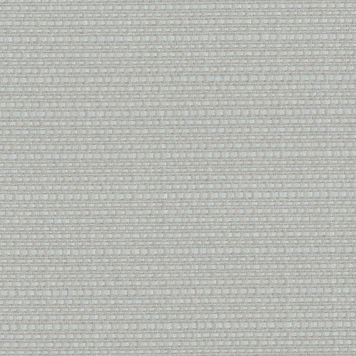 Albatross